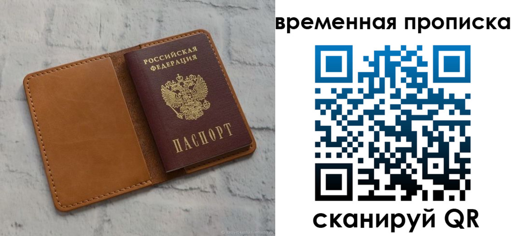 прописка поиск в Саранске